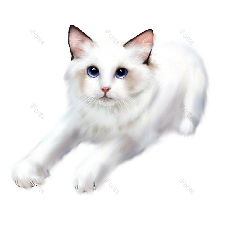 小猫咪图片,动物元素,手绘PNG,可爱免抠素材